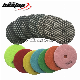 D100mm Diamond Dry Polishing Pad for Marble and Concrete