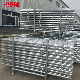  Steel Ringlock System Safe Construction Layher Scaffolding for Sale