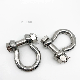 Stainless Steel Rigging U-Shackle Fastener Hardware