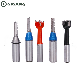  Tungsten Carbide Tip Tct with 1/2 Shank Slotting Router Bit