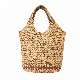  Fashion Straw Bag Girl Handbag New Ladies Purse for Women Crossbody Bag (5038)