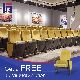  Fabric Meeting University School Recline Armrests Hall Chair Lecture Church Conference Hall Chair Leather Seating Furniture Auditorium Chair
