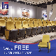 Fabric Meeting University School Recline Armrests Hall Chair Lecture Church Conference Hall Chair Leather Seating Furniture Auditorium Chair