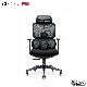  Affordable Mesh Double Backrest Design Ergonomic Swivel Office Chair