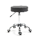  Swivel Rolling Stool Round Chair Thick Sturdy Padding Adjustable Stool with Wheels