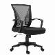 Popular Ergonomic Chair Modern Comfortable Swivel Office Mesh Chair