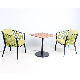  Hot Sale Leisure Hotel Patio Aluminum Rope Table Chair Set Outdoor Garden Furniture
