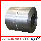  ASTM JIS SUS 201 202 301 304 316 310 Cold Rolled /Hot Rolled 0.6mm 0.8mm 1.0mm 1.2mm Thickness Stainless Steel Coil
