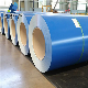 Factory Wholesale Cheap Price Color Coated Steel Coil