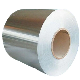  SUS 201 304 310 316 316L 430 904L Grade Stainless/Aluminum/Carbon/Galvanized/PPGI/Corrugated/Roofing/Copper/Prepainted/Iron/Color Hot/Cold Rolled Steel Coil
