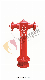  High Quality Wet Barrel Pillar/Ground 2 Ways Fire Hydrant with Valves 81AC