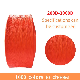 Color 100d--3000d Polypropylene Yarn (PP yarn)