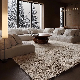  Luxury Shaggy Carpet Furry Floor Mat Home PV Velvet Decorative Living Room Rug