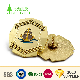  High Quality Custom Design Metal Irregularly Shaped Gold Color Soft Enamel Masonic Lapel Pins
