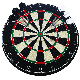  Professional Wholesale Sisal Bristle Dart Board with Stainless Steel Darts