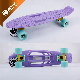  Portable 22 Inch Skateboard Penny Board Wholesale Color Plastic Skate Board PP Stkateboard