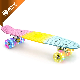 Manufacturer Rainbow Color Penny Board Plastic Skateboard