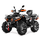 Tao Motor New Design 300cc 4X4 Quad ATV for Adults manufacturer