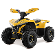 2023 New Launch Hot Sales 48V 1600W Electric ATV for Kids