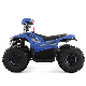 Quad Bike Dune Buggy Electric ATV Electric Quad for Kids manufacturer