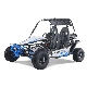 Adult Go Cart Road Legal Dune Buggy Racing Go Kart manufacturer