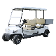 Guangdong Marshell 4 Seater Electric Vehicle Battery Operated Golf Cart (DG-M4S)