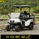  2017 New Design 4 Seater Electric Golf Cart China Made