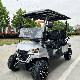 New Lifted 5, 6, 7kw Motor 100/120km Mileage Lead Acid/Lithium Battery 48V/60V/72V 2, 4, 6, 8, 10 Seats/12/14inches Tyre Hunting Golf Cart manufacturer