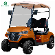  Raysince 2024 Latest Model Electric Golf Cart for Sale