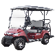 Electric Sightseeing Golf Wholesale 4 Seater Golf Cart with Folded Seat