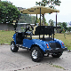  Electric Golf Car/Cart/Buggy (DEL3022G, 2-Seater) Golf Cart