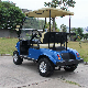 Electric Golf Car/Cart/Buggy (DEL3022G, 2-Seater) Golf Cart