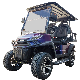  2023 New Modle Style G for Exclusive Right 4 Seat Sightseeing Bus Club Cart Electric Vehicle Golf Buggy Hunting Cart