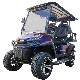 2023 New Modle Style G for Exclusive Right 4 Seat Sightseeing Bus Club Cart Electric Vehicle Golf Buggy Hunting Cart