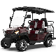 ODM Customized 30% Max. Driving Slope Street Legal Low Speed 4 Seater Electric Lifted Golf Buggy