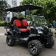  New Model Luxury 5kw Lifted 4 Seats Hunting Electric Golf Cart