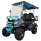  Wholesale 48V Electric Best New Electric Lithium Powered Street Legal Buggy Hunting Golf Carts