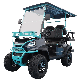 Wholesale 48V Electric Best New Electric Lithium Powered Street Legal Buggy Hunting Golf Carts