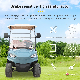 Factory Equipped Electric Wuhuanlong 3100*1350*2100 Jiangsu Gas Cart Mini Golf Carts Car