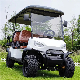  CE DOT Exclusive Style Modern Fashion 2023 Brand New Design 4 Seat Sightseeing Bus Club Car Electric Lithium Battery Golf Buggy Hunting Cart with 48/72V