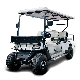 New 6 Seats Club Car Classic White Electric Dune Golf Buggy with 4 Kw AC Motor manufacturer