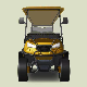  3-4 Course OEM Brand 20units/40hq 3units/Crate China Carts Golf Cart