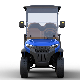 & Lt; 20% & Gt; 30 Km/H OEM Brand 20units/40hq Shanghai Dachi Golf Cart manufacturer