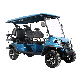 Club Cart Electric Golf Buggy Hunting Car New Energy Lithium Battery