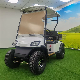 Utility Fast Lithium Luxury Electric Golf Cart Fast Golf Buggy