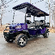  High Quality off-Road Club 48V 4 6 Seater Golf Buggy Price Cheap Electric Golf Carts