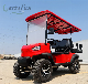 Hot Selling 2+2 Seater 4 Passenger Gas Golf Cart with Flip Down Rear Seat