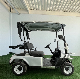  Gasoline Electric Lifted Golf Cart with Battery 2 Seater 4X4 off Road Club Car