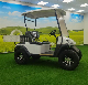  Golf Club Electric Golf Carts for Hotels and Airports Made in China Golf Buggy