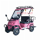  Factory Wholesale CE Approved Customizable Adult Battery Operated 4 Wheel Smart Electric Sightseeing Car